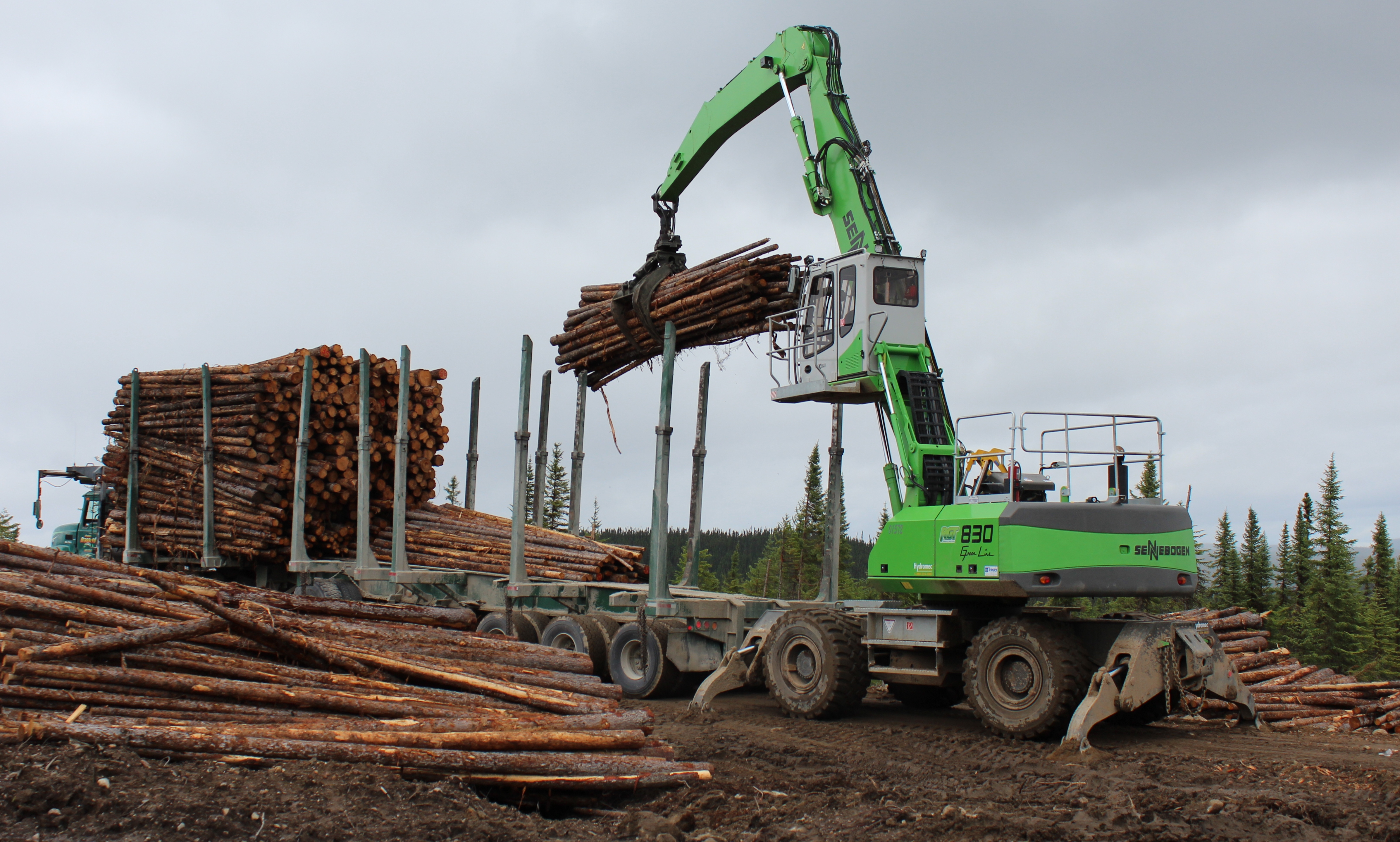 “Results” Make SENNEBOGEN 830 M-T Model the Right Choice for Logging Camp Duties